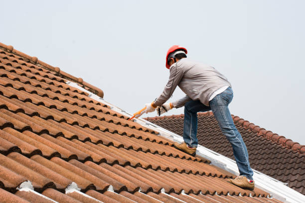 Reliable Clearlake, CA Roofing services Solutions